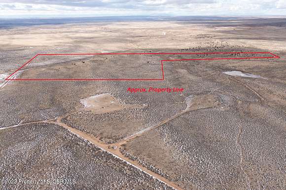 53.3 Acres of Land for Sale in Bloomfield, New Mexico