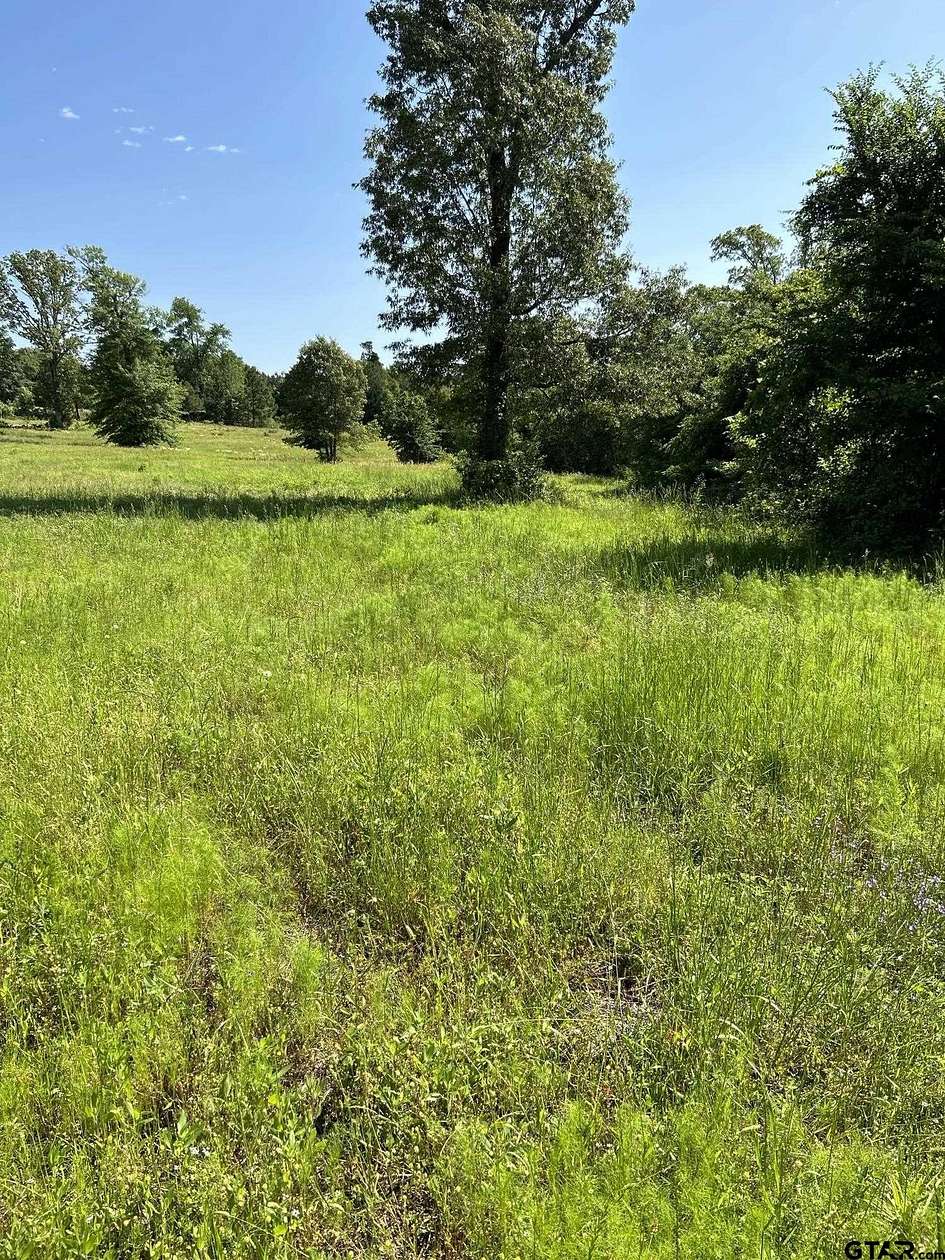 5 Acres of Residential Land for Sale in Winona, Texas