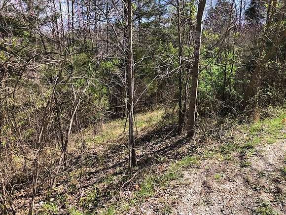 0.75 Acres of Residential Land for Sale in Monroe, Tennessee