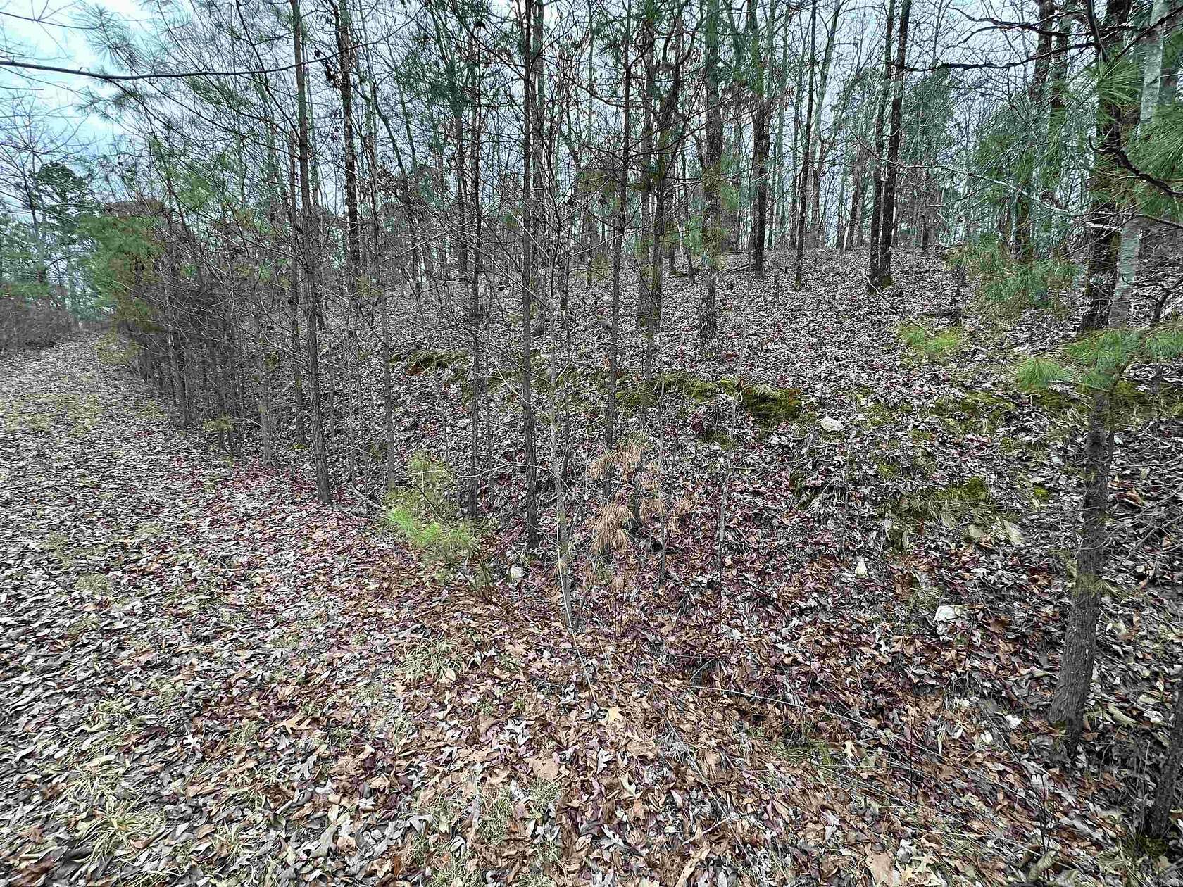 6.4 Acres of Residential Land for Sale in Little Rock, Arkansas