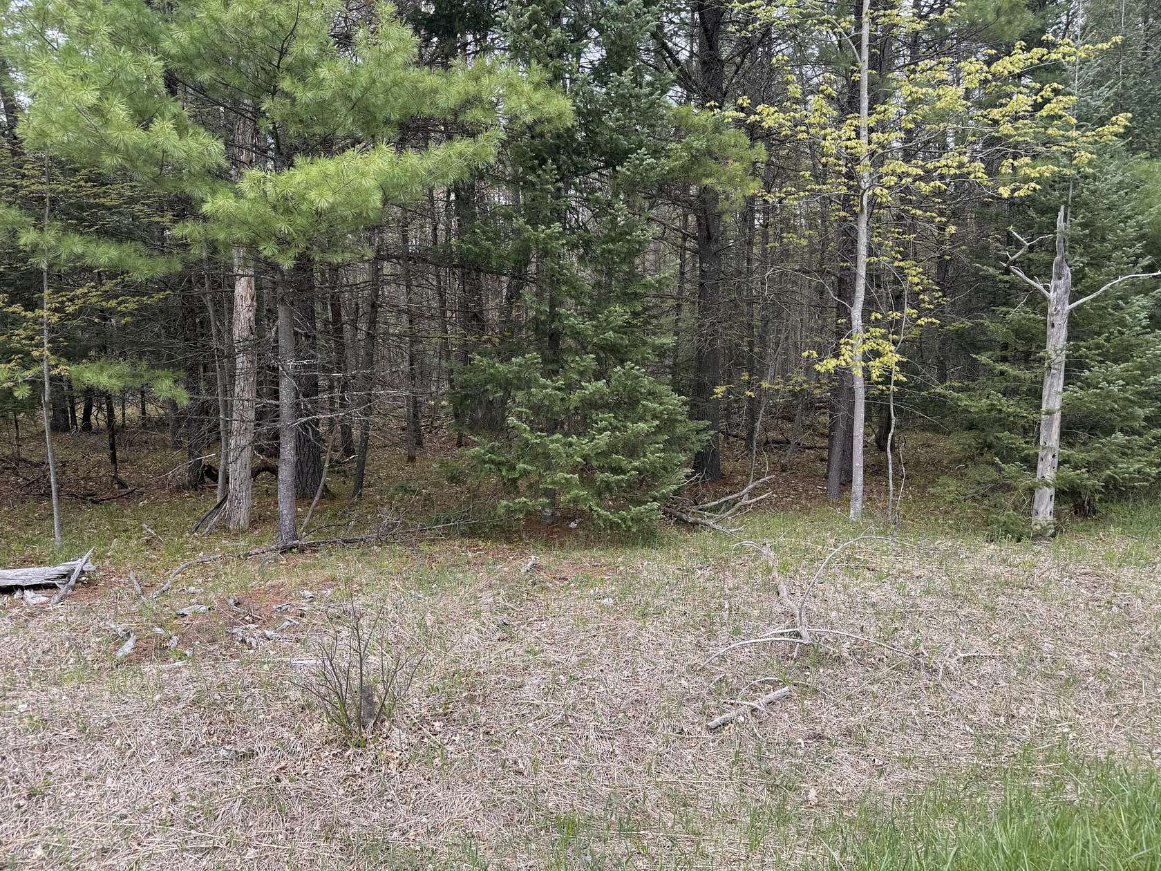 Land for Sale in Grayling, Michigan