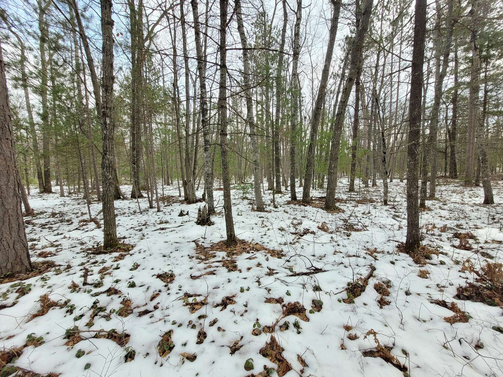 Land for Sale in Rogers City, Michigan