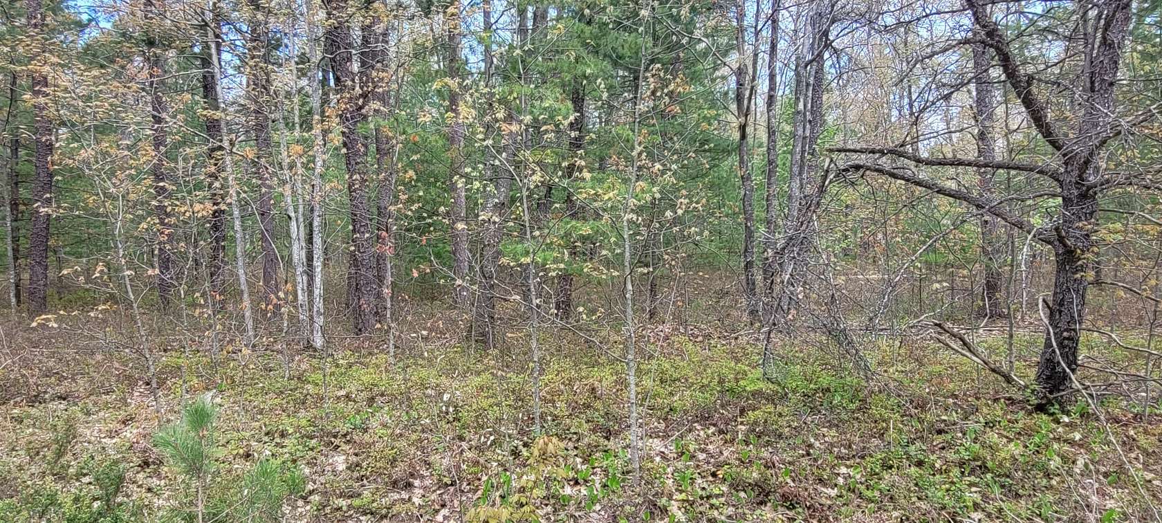 Land for Sale in Rogers City, Michigan