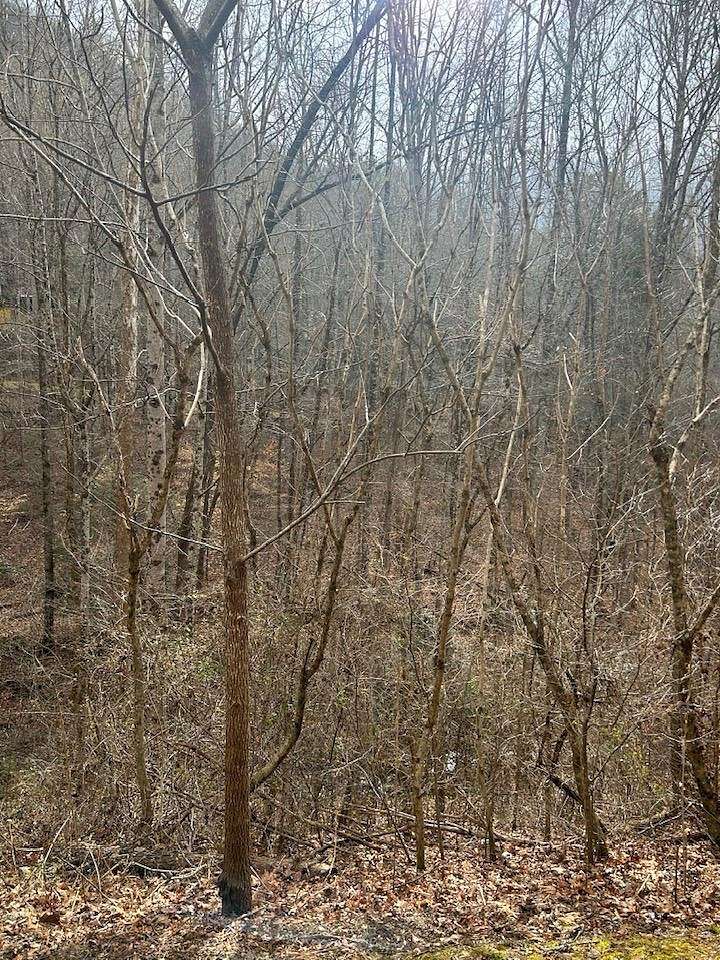 3.3 Acres of Land for Sale in Sylva, North Carolina