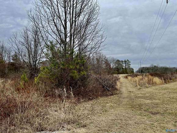 1 Acre of Residential Land for Sale in Trinity, Alabama