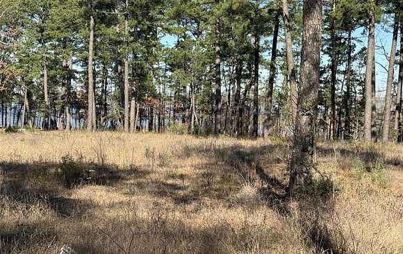 1 Acre of Residential Land for Sale in Brookeland, Texas