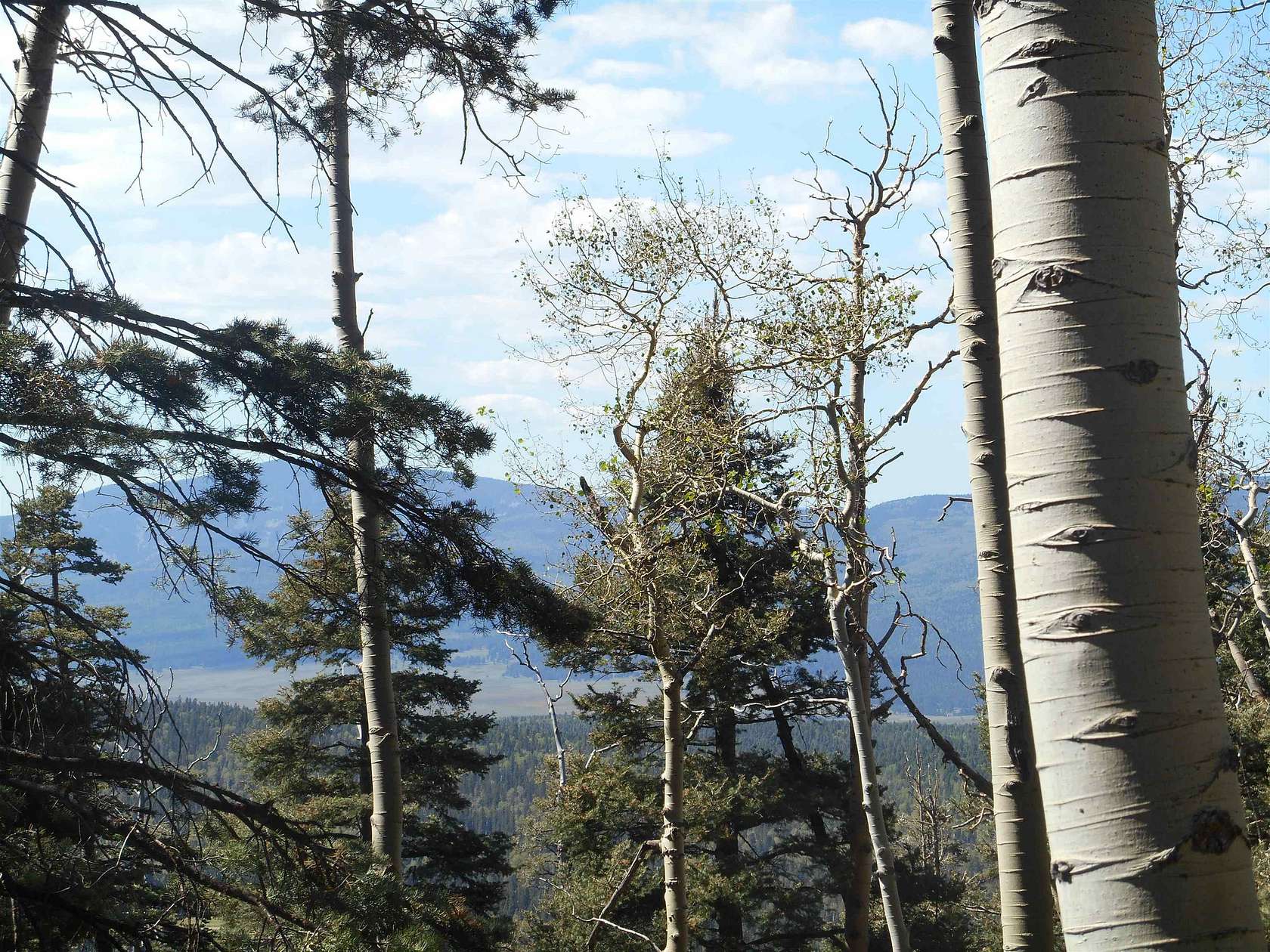 1.8 Acres of Residential Land for Sale in Angel Fire, New Mexico