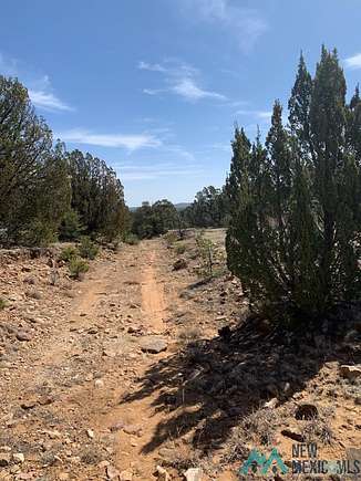 160 Acres of Land for Sale in Las Vegas, New Mexico