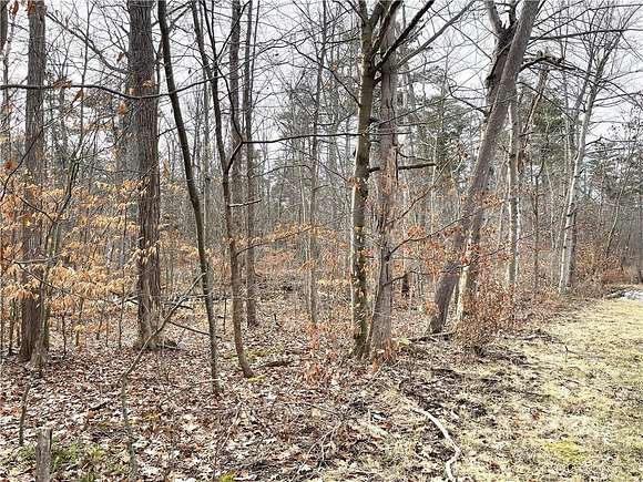 24 Acres of Land for Sale in Lansing, New York