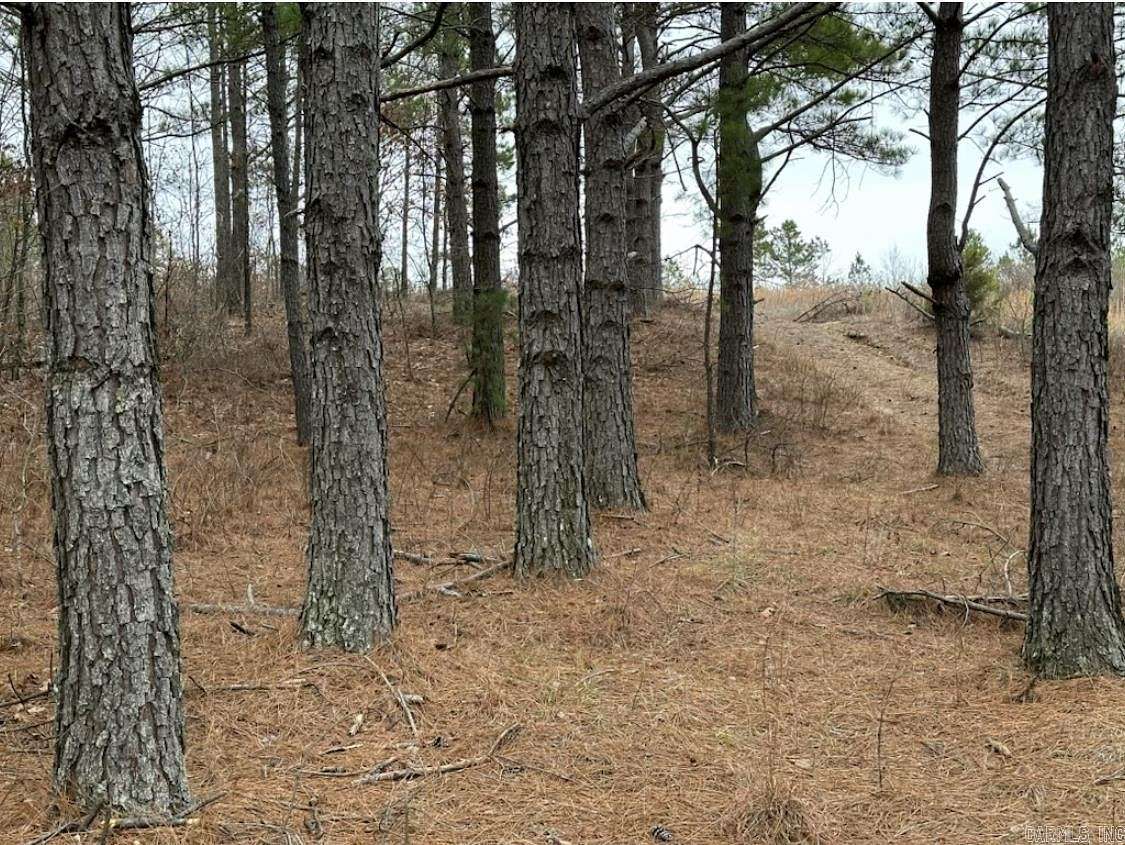 80 Acres of Recreational Land for Sale in Clinton, Arkansas