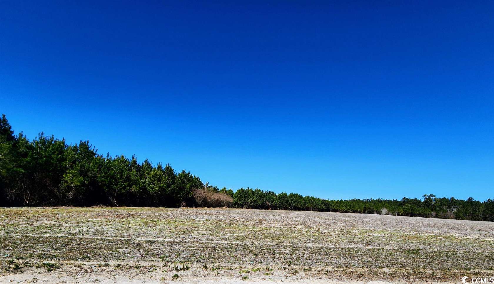 50 Acres of Recreational Land for Sale in Loris, South Carolina