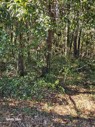 0.3 Acres of Residential Land for Sale in Pensacola, Florida