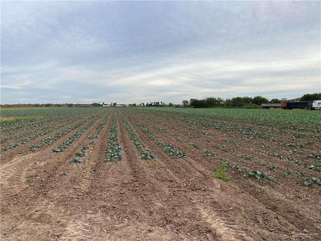 5 Acres of Commercial Land for Sale in San Juan, Texas