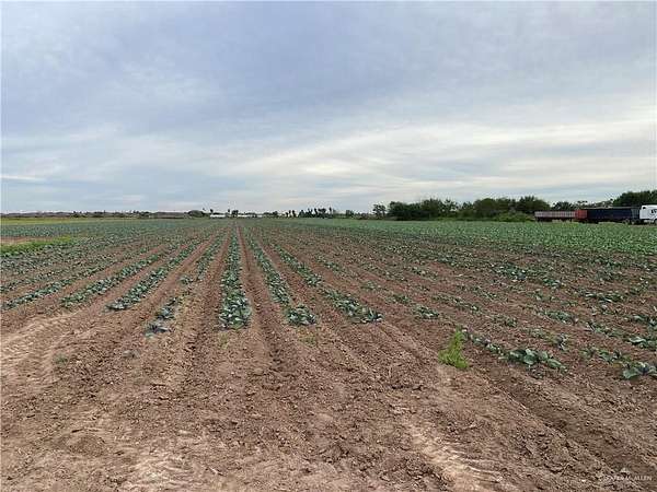 5 Acres of Commercial Land for Sale in San Juan, Texas