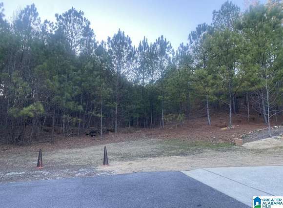 3.9 Acres of Residential Land for Sale in Birmingham, Alabama