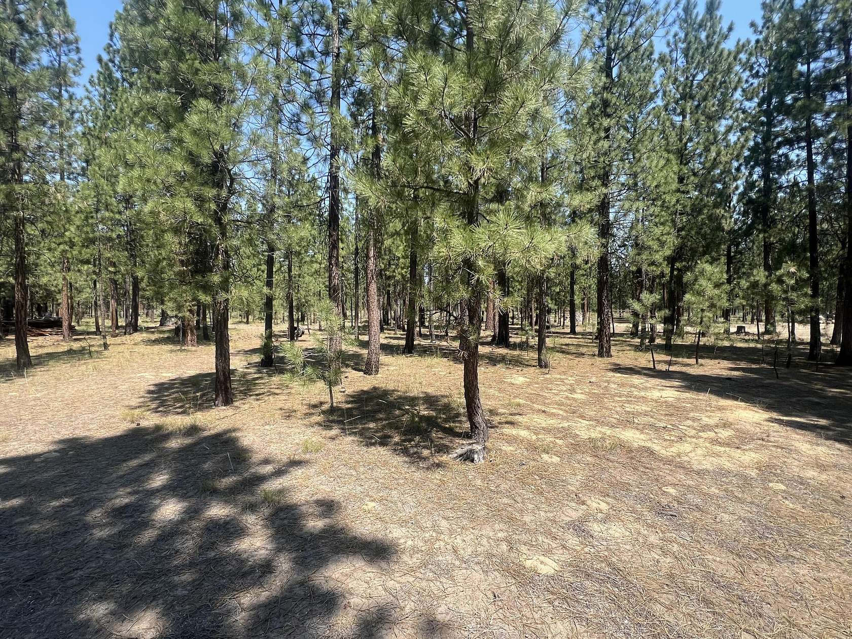 1.29 Acres of Residential Land for Sale in La Pine, Oregon