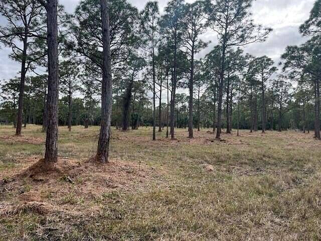 9.4 Acres of Residential Land for Sale in Grant-Valkaria, Florida