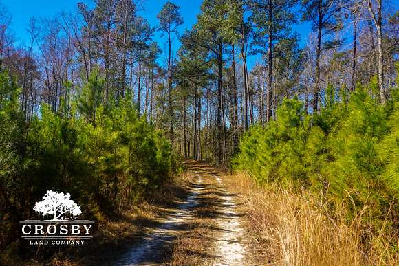 205 Acres of Recreational Land for Sale in Lodge, South Carolina