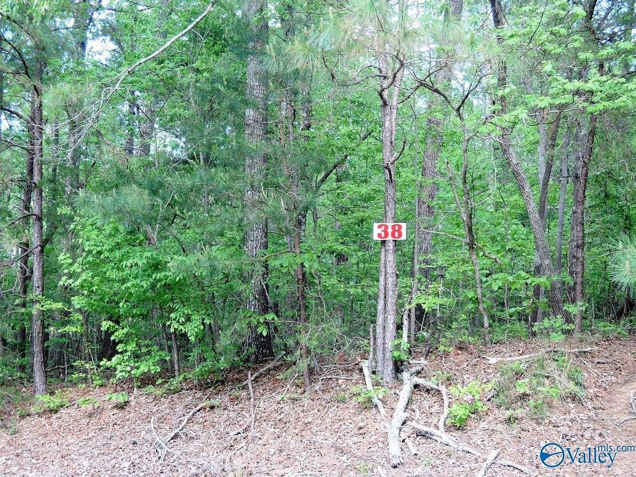 0.59 Acres of Residential Land for Sale in Jasper, Alabama