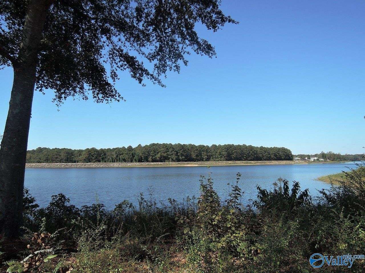 23.6 Acres of Recreational Land for Sale in Cullman, Alabama