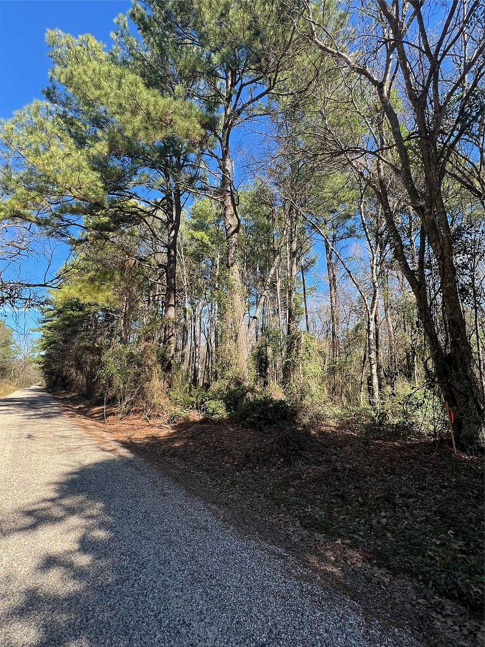 20 Acres of Recreational Land for Sale in Pittsburg, Texas