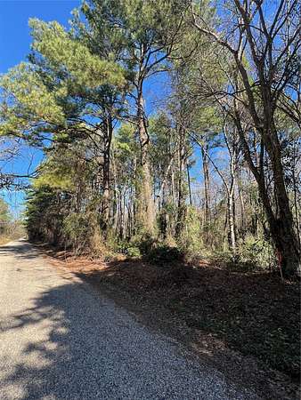20 Acres of Recreational Land for Sale in Pittsburg, Texas