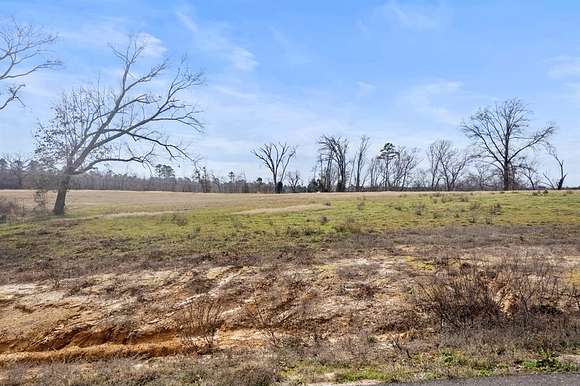 1.31 Acres of Residential Land for Sale in Pittsburg, Texas