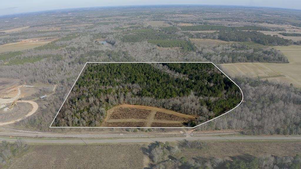 43 Acres of Recreational Land for Sale in Abbeville, Alabama