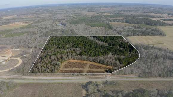 43 Acres of Recreational Land for Sale in Abbeville, Alabama
