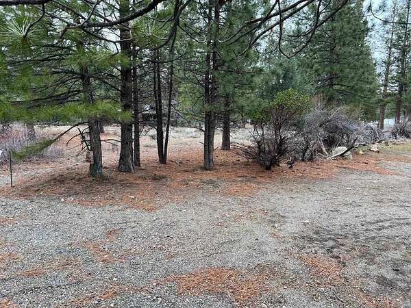0.23 Acres of Land for Sale in Weed, California