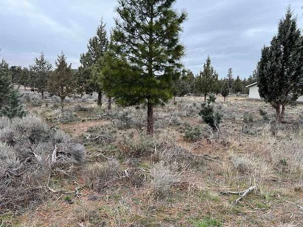 0.24 Acres of Land for Sale in Weed, California