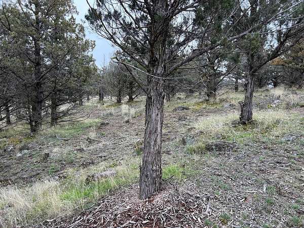 0.28 Acres of Land for Sale in Weed, California