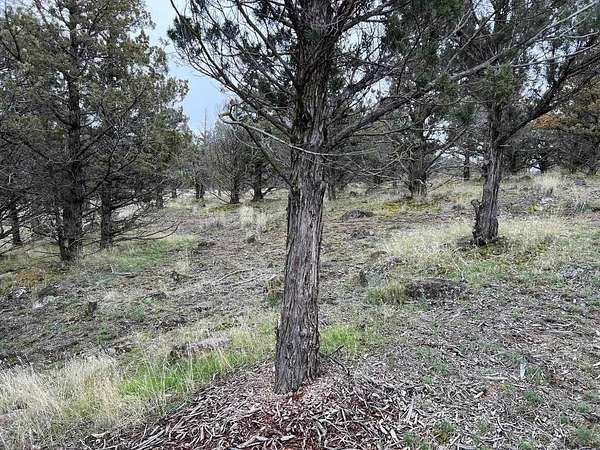 0.28 Acres of Land for Sale in Weed, California