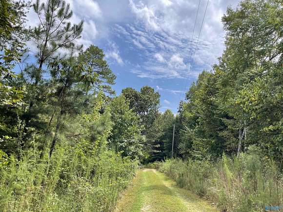 37.3 Acres of Land for Sale in Valley Head, Alabama