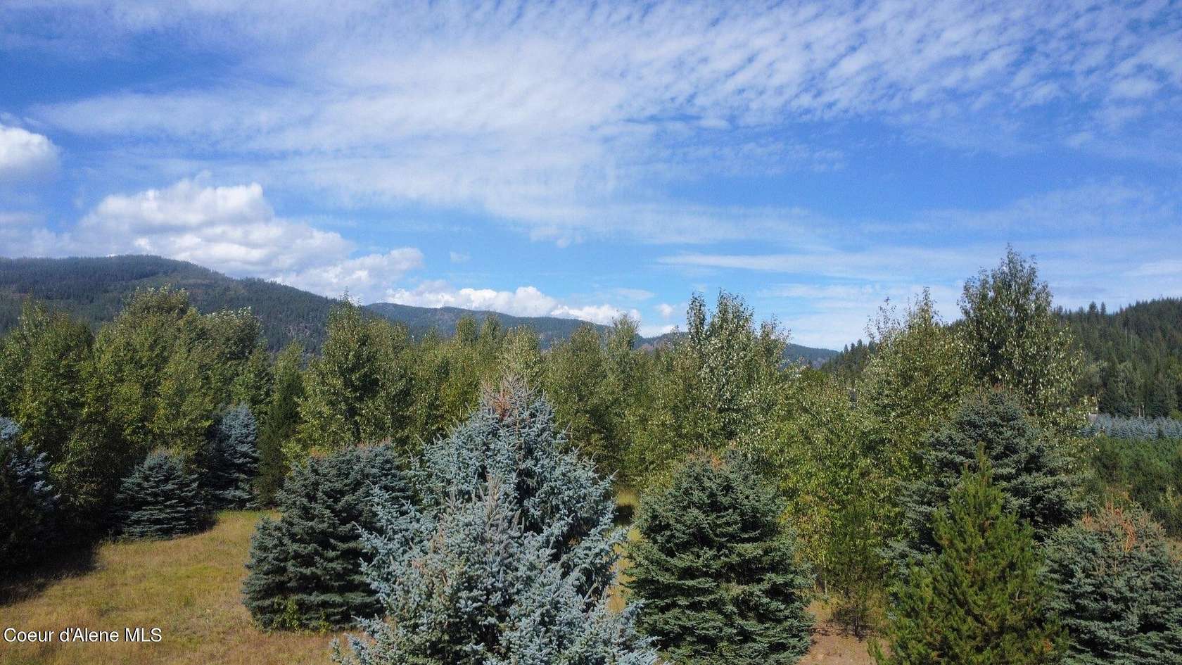 3.3 Acres of Residential Land for Sale in Naples, Idaho