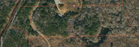 23 Acres of Recreational Land for Sale in De Berry, Texas