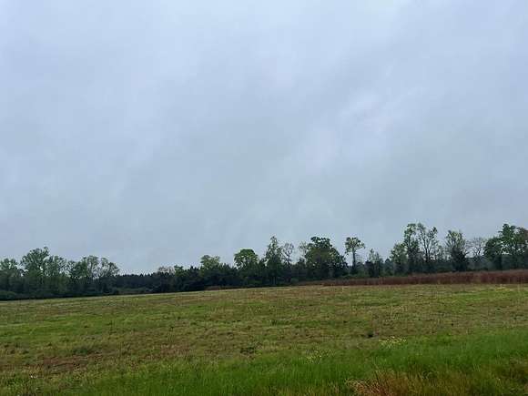 9.9 Acres of Residential Land for Sale in Columbia, Alabama