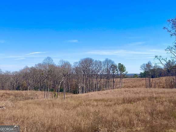 52 Acres of Land for Sale in Bowman, Georgia