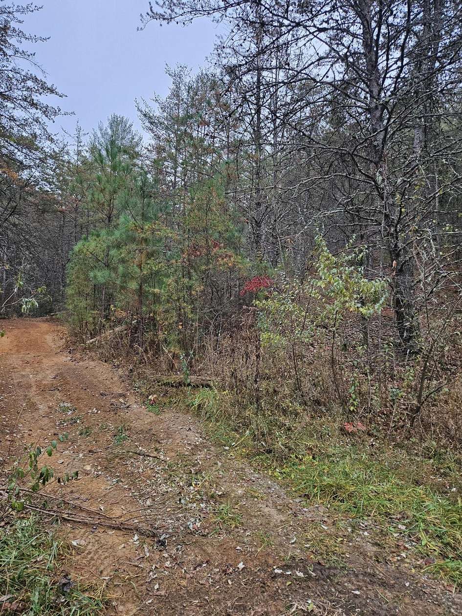 5.9 Acres of Land for Sale in Copperhill, Tennessee