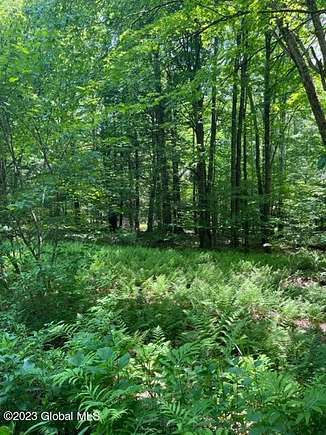 15.8 Acres of Land for Sale in Stephentown, New York