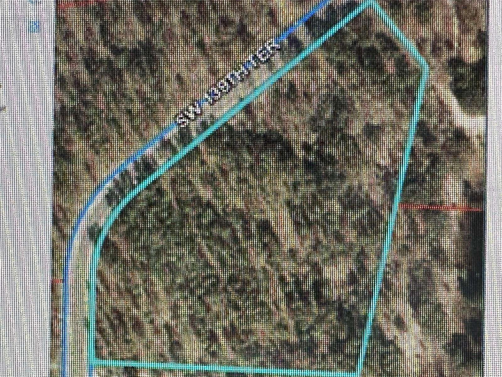 9.3 Acres of Land for Sale in Morriston, Florida