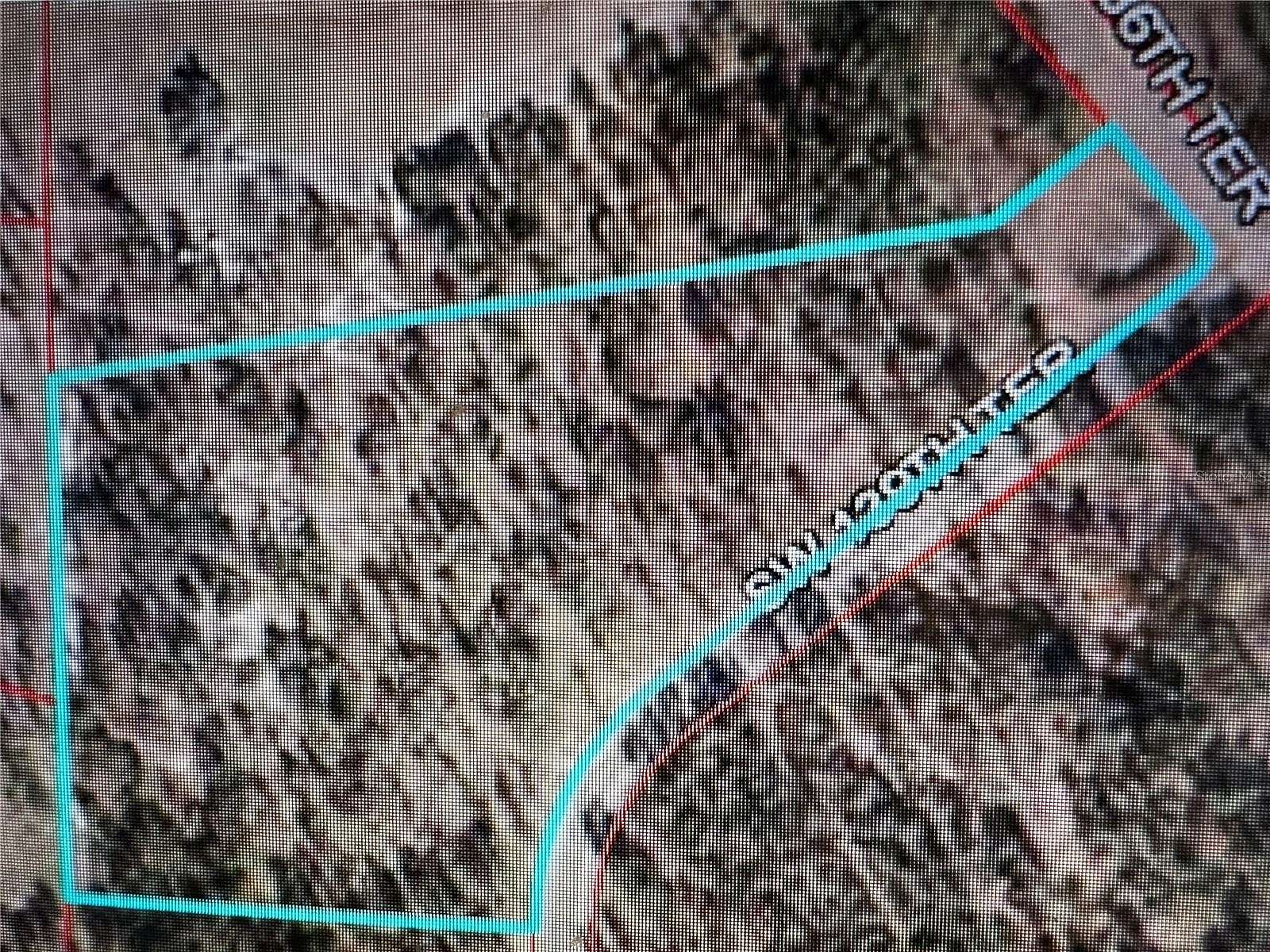9.9 Acres of Land for Sale in Morriston, Florida