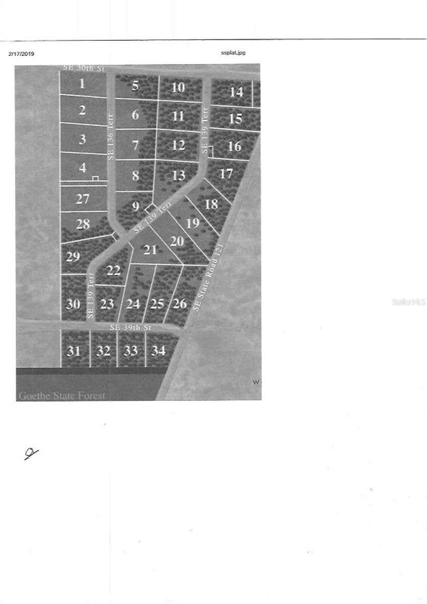 9.01 Acres of Land for Sale in Morriston, Florida