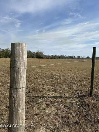 16.4 Acres of Land for Sale in Greenwood, Florida