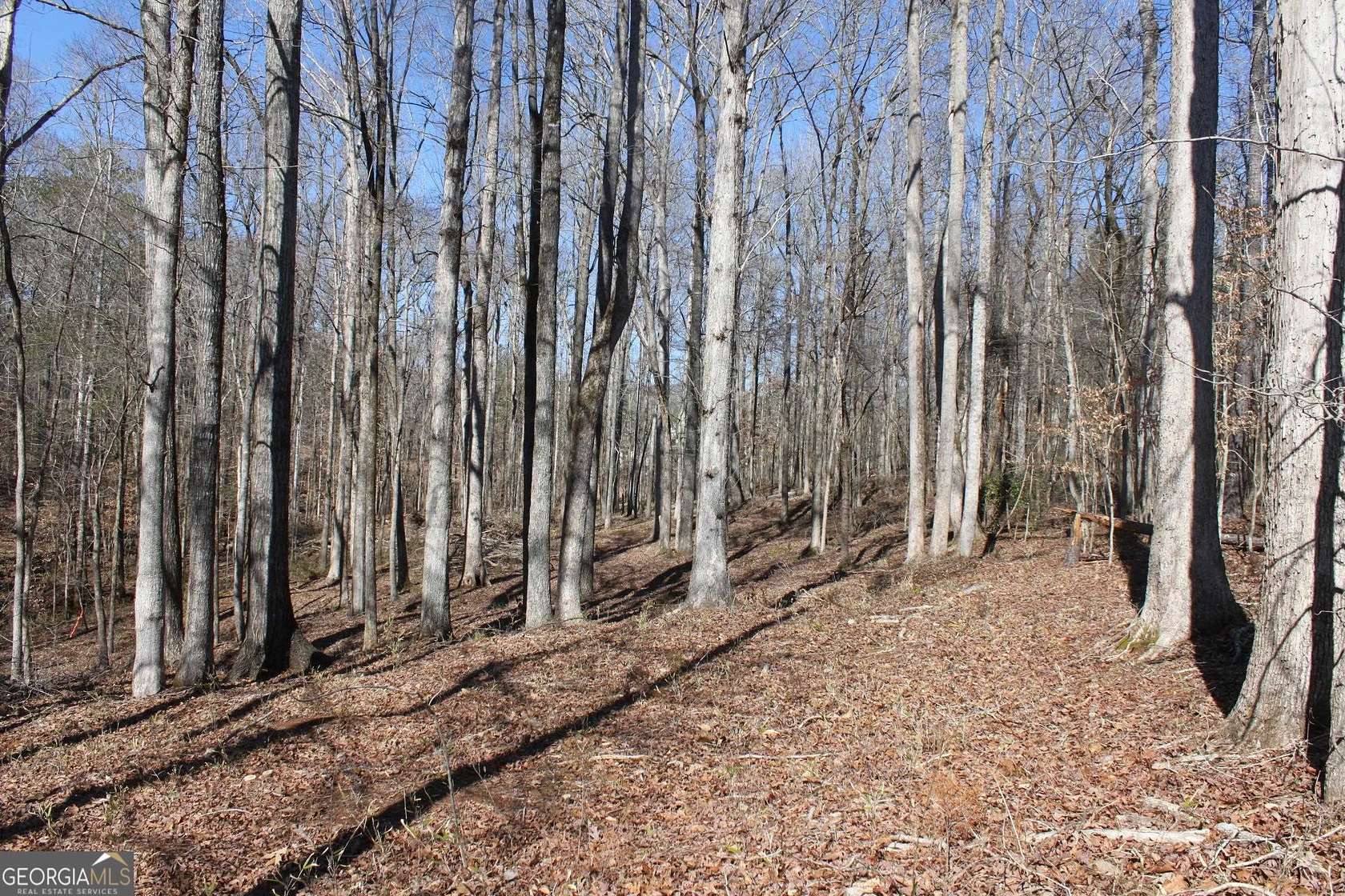 2.4 Acres of Residential Land for Sale in Forsyth, Georgia