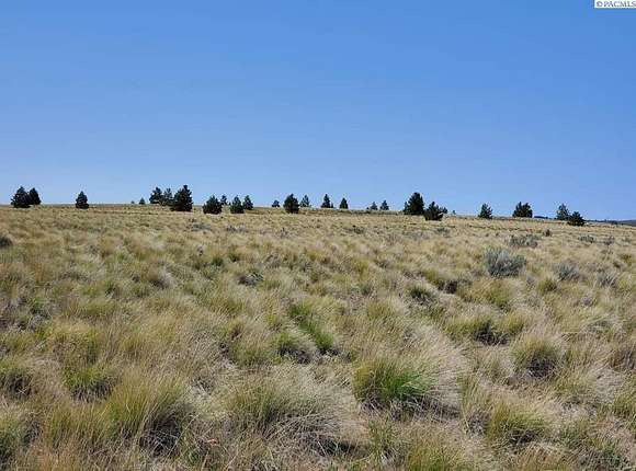 79.4 Acres of Agricultural Land for Sale in Bickleton, Washington