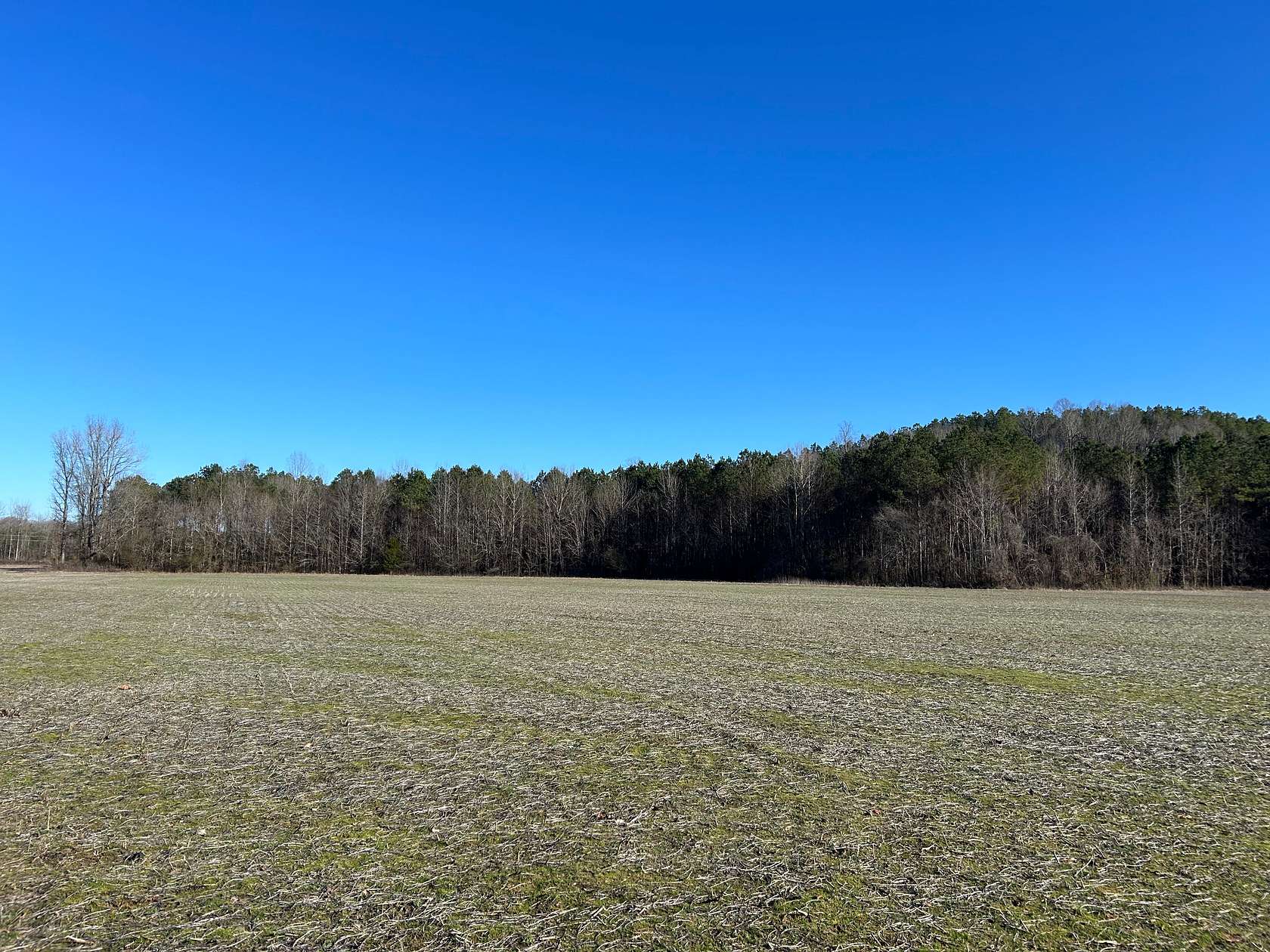 48 Acres of Recreational Land & Farm for Sale in Paris, Mississippi
