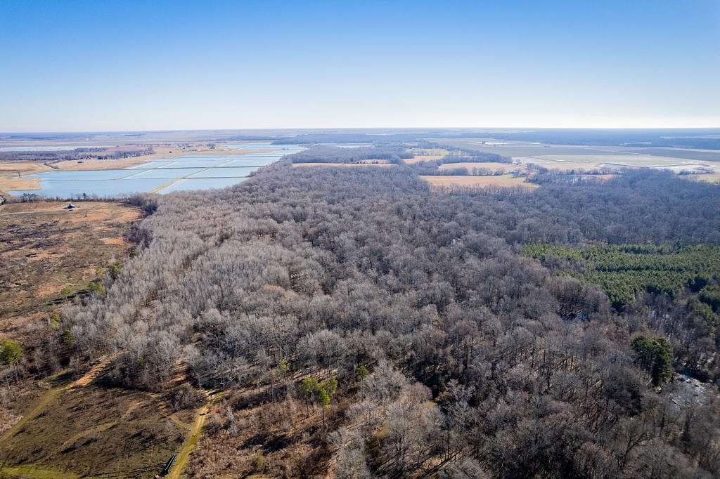 110 Acres of Recreational Land & Farm for Sale in Des Arc, Arkansas