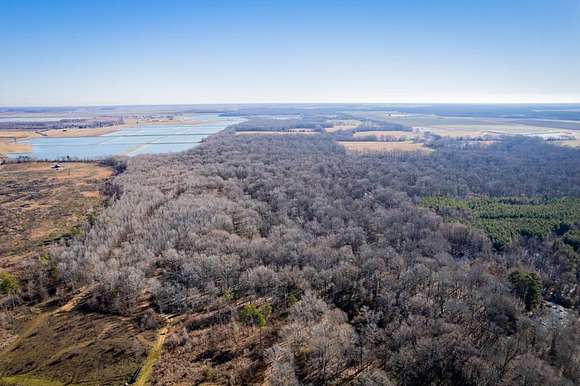 110 Acres of Land for Sale in Des Arc, Arkansas