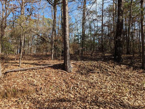 3 Acres of Land for Sale in Eclectic, Alabama